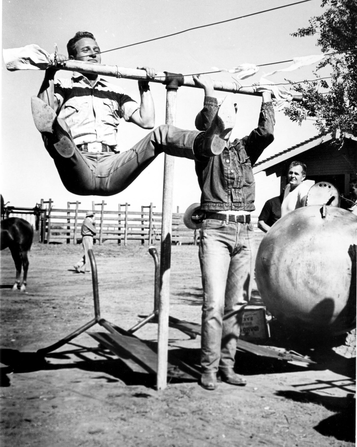 Hud 1963 Paul Newman & Brandon De Wilde