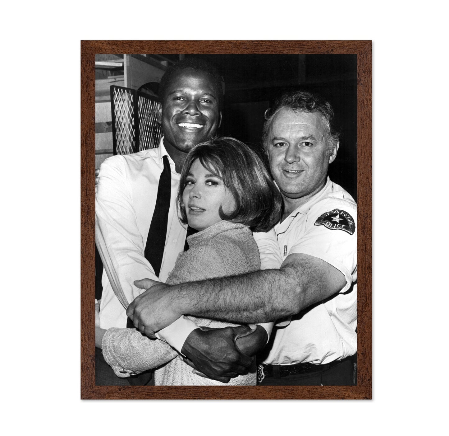 In the Heat Night 1967 Sidney Poitier No2