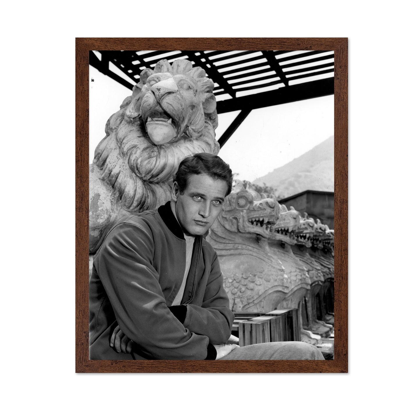 The Silver Chalice 1954 Paul Newman No1