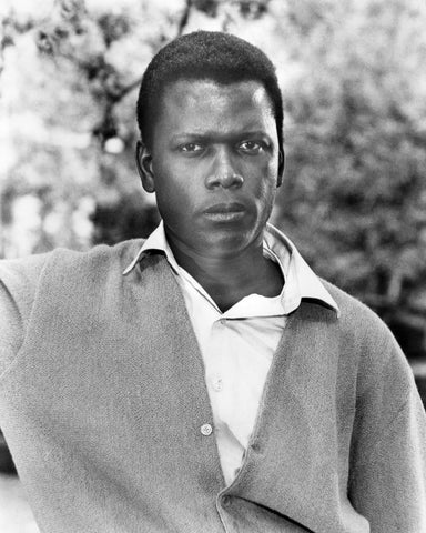 A Patch of Blue 1965 Sidney Poitier No3