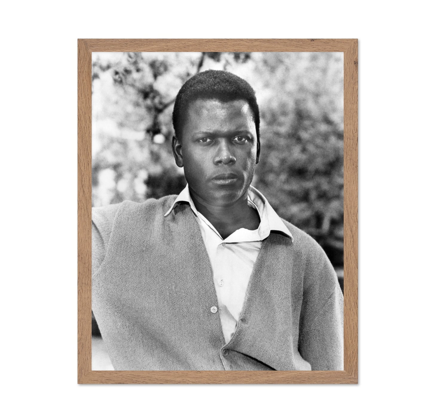 A Patch of Blue 1965 Sidney Poitier No3