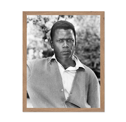 A Patch of Blue 1965 Sidney Poitier No3