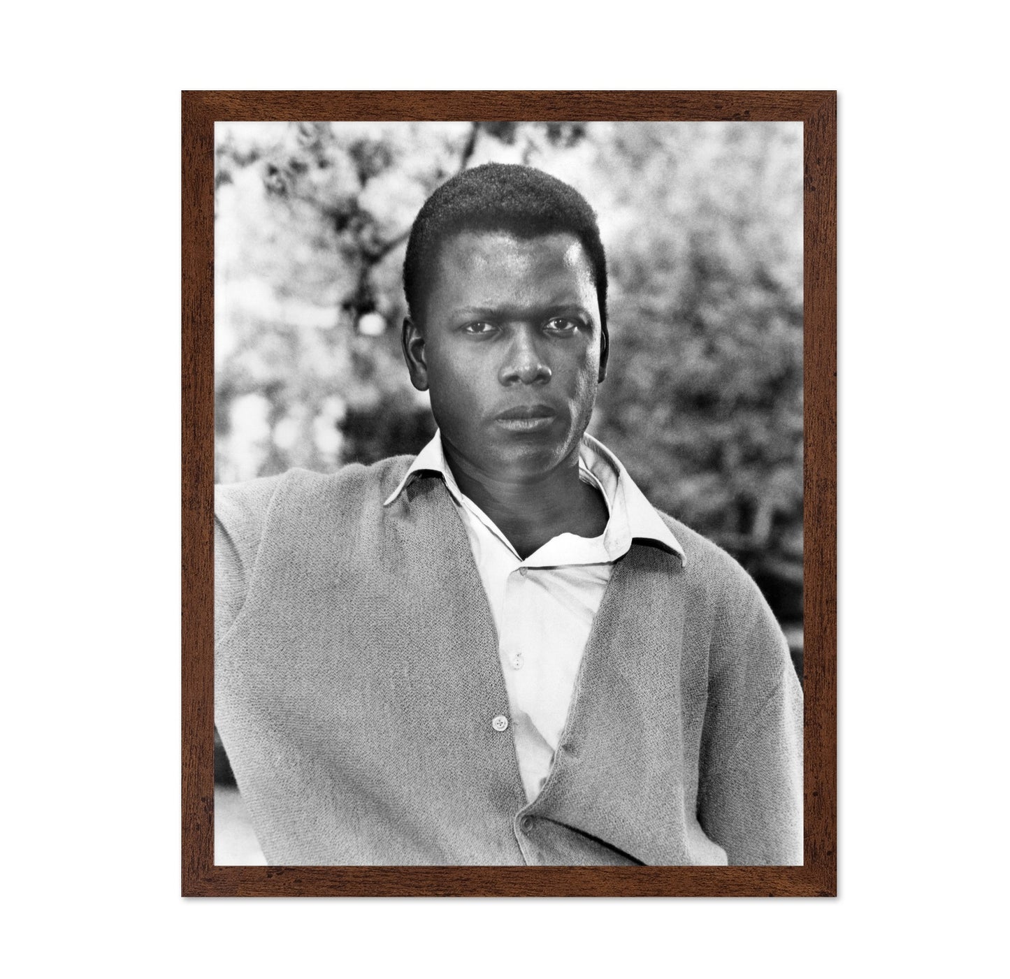 A Patch of Blue 1965 Sidney Poitier No3