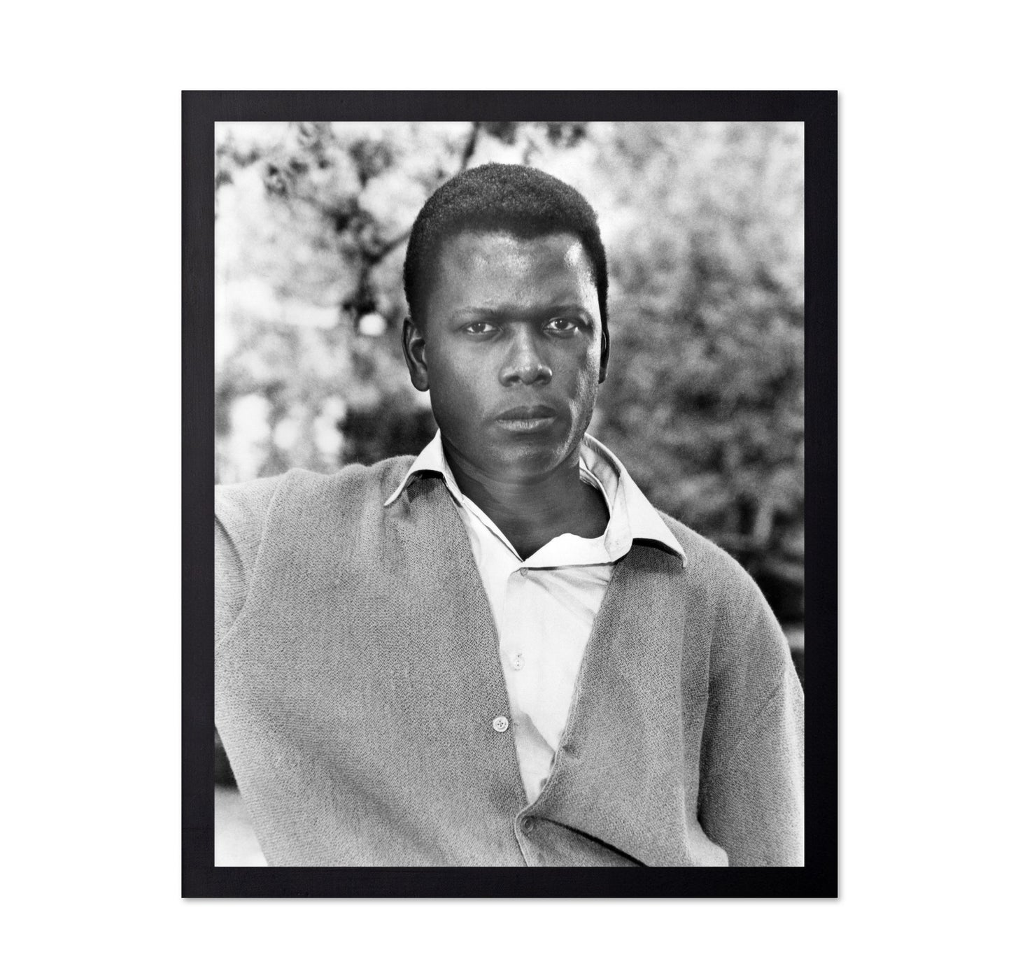 A Patch of Blue 1965 Sidney Poitier No3