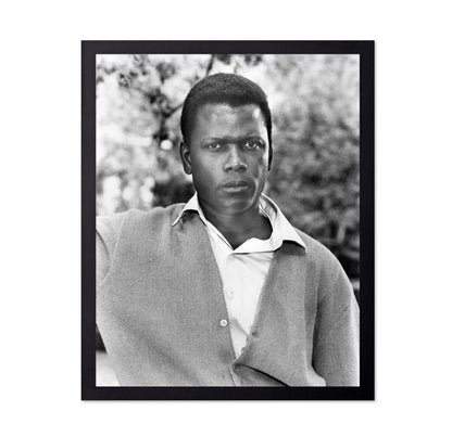 A Patch of Blue 1965 Sidney Poitier No3
