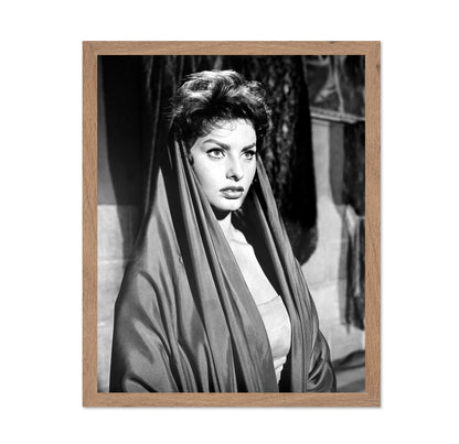 The Pride and The Passion 1957 Sophia Loren