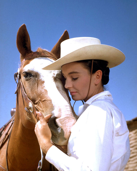 The Big Country 1958 Jean Simmons No1