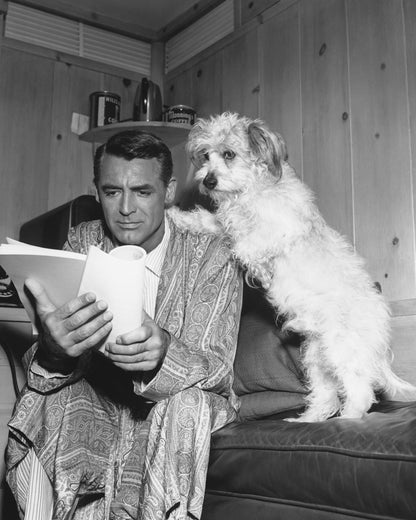 Dream Wife 1953 Cary Grant No1