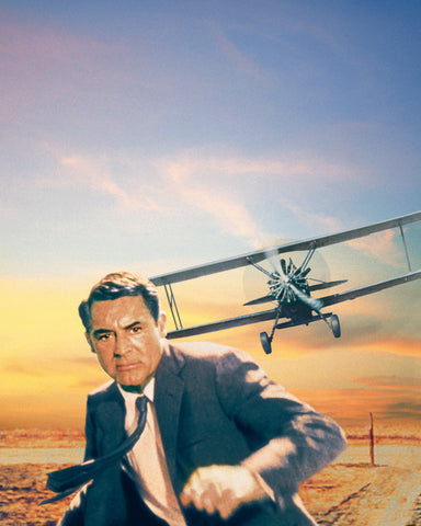 North by Northwest 1959 Cary Grant No10