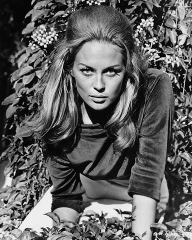 The Happening 1967 Faye Dunaway No1