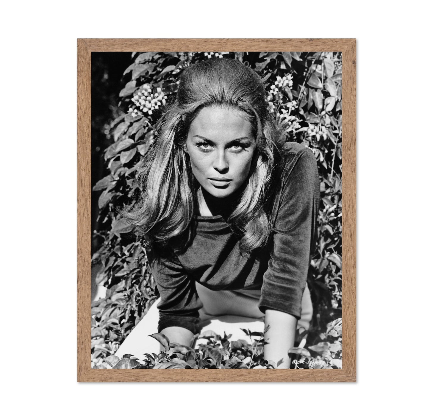 The Happening 1967 Faye Dunaway No1