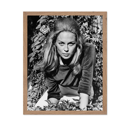 The Happening 1967 Faye Dunaway No1