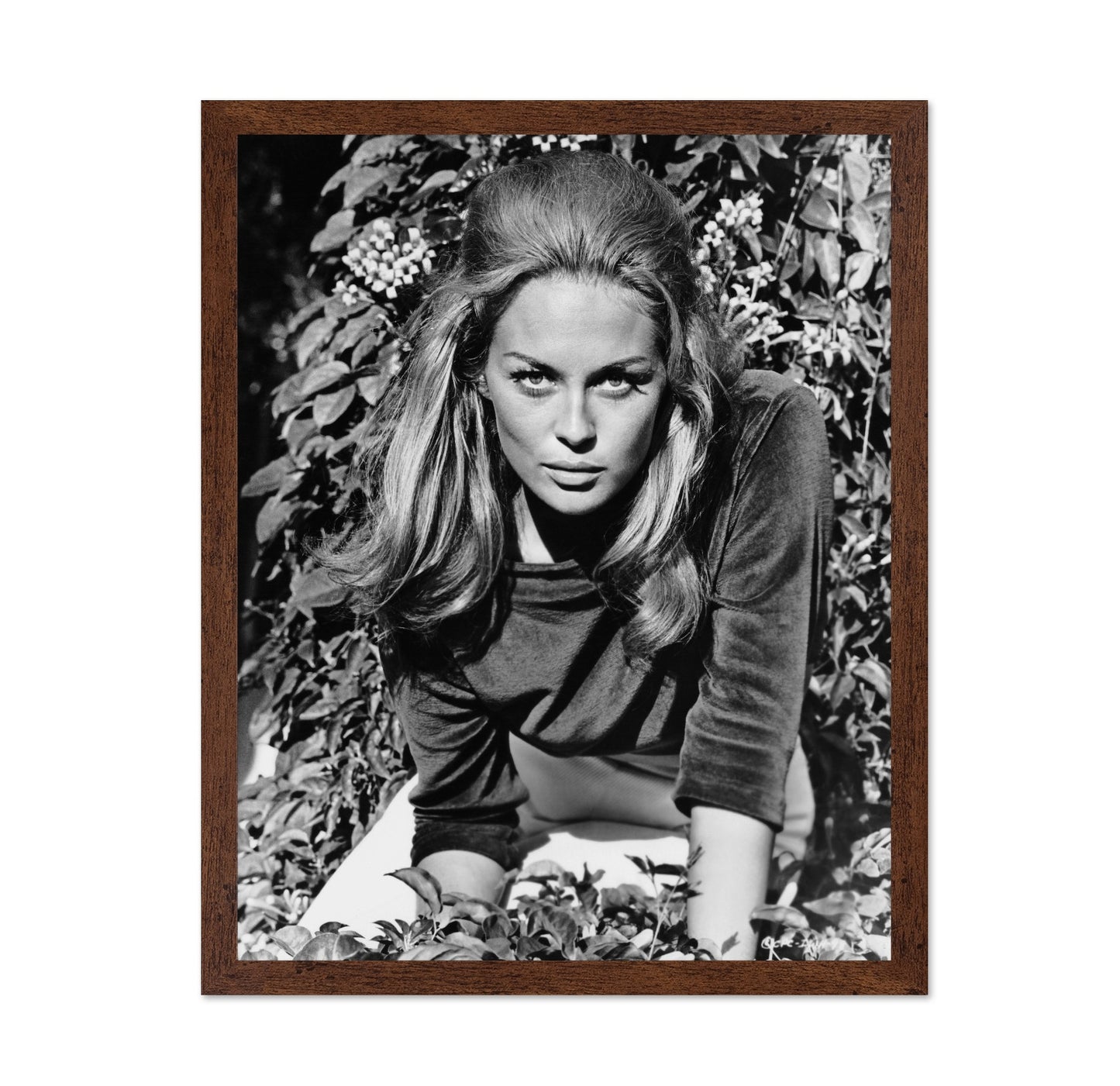 The Happening 1967 Faye Dunaway No1