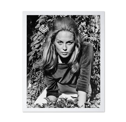 The Happening 1967 Faye Dunaway No1