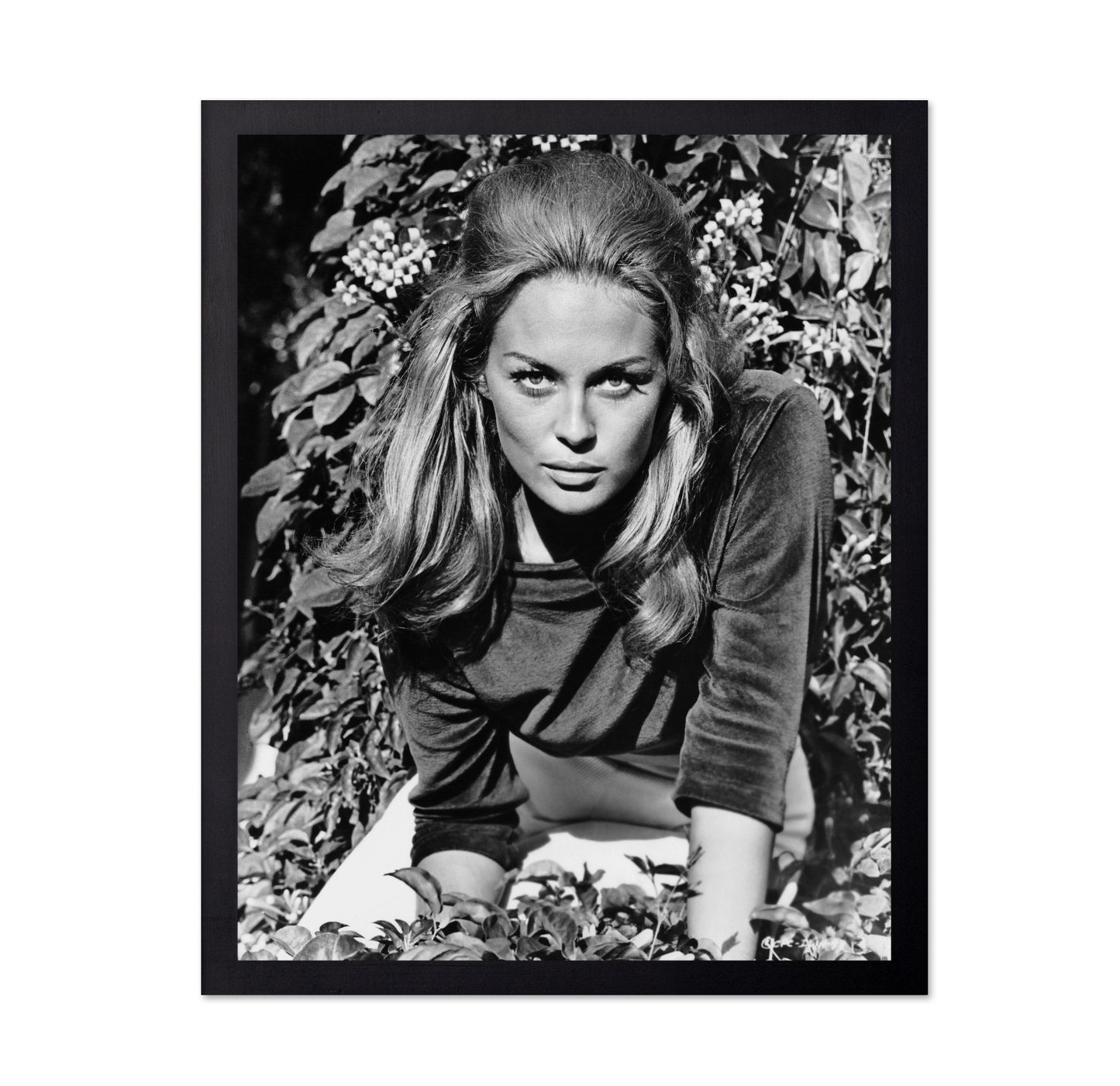 The Happening 1967 Faye Dunaway No1