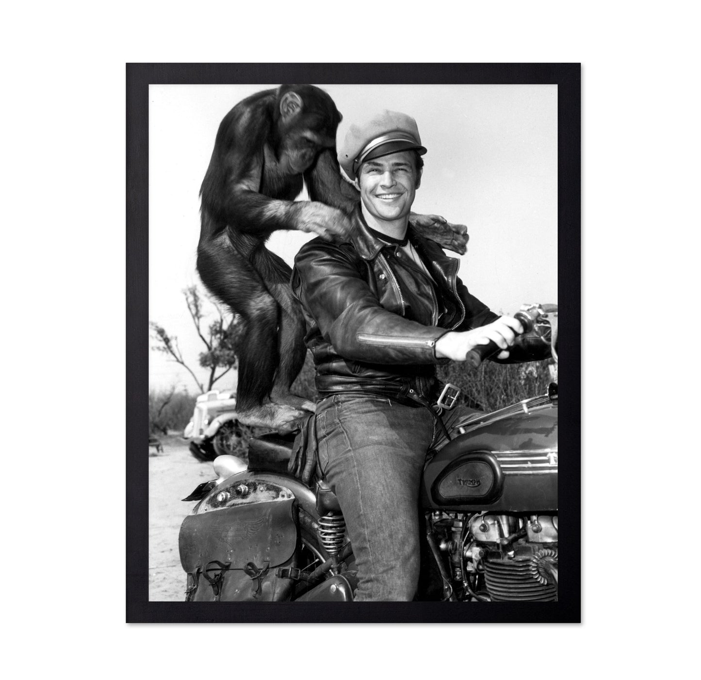 The Wild One 1953 Marlon Brando No3