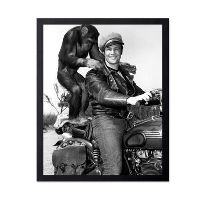 The Wild One 1953 Marlon Brando No3