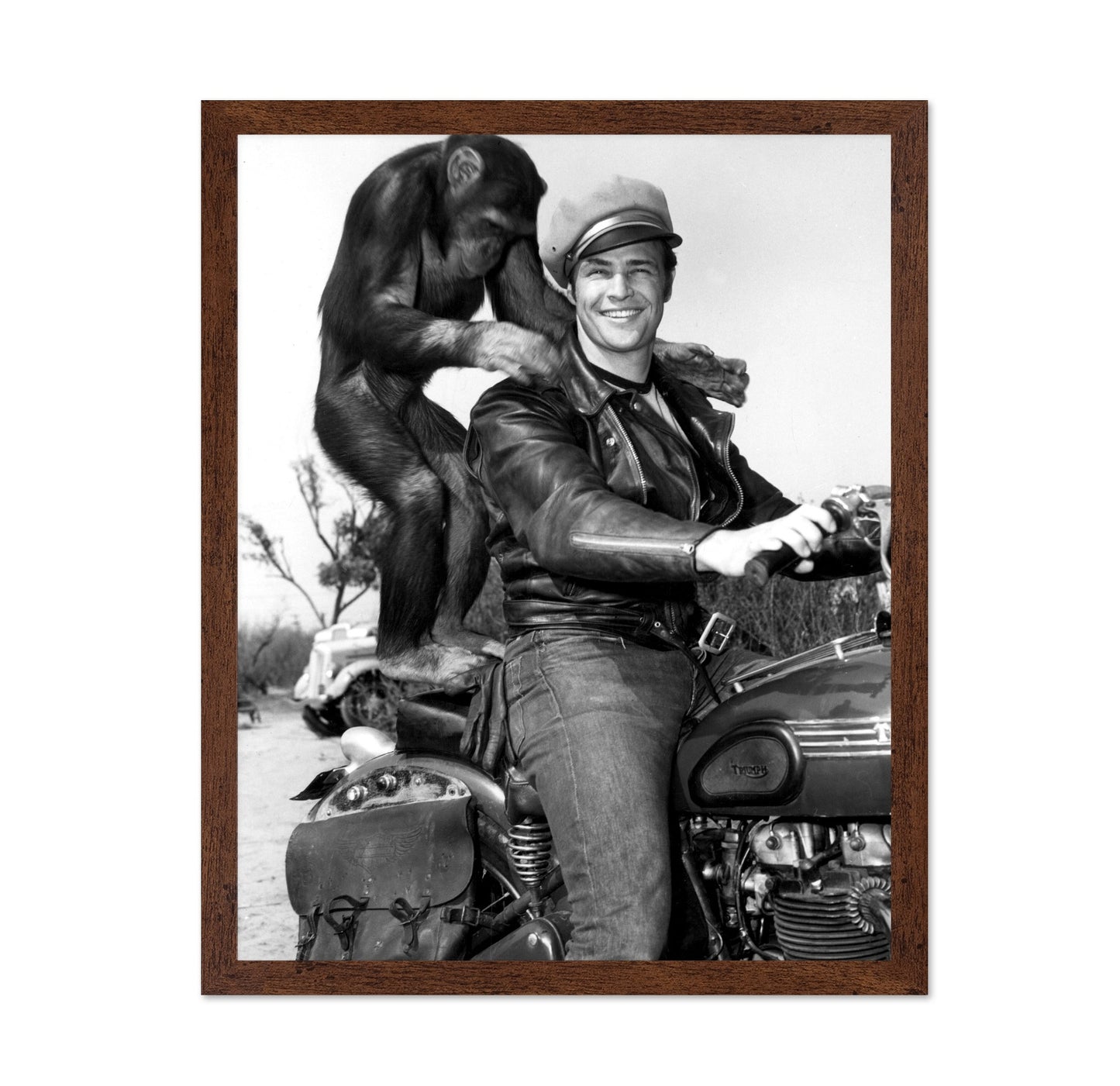 The Wild One 1953 Marlon Brando No3