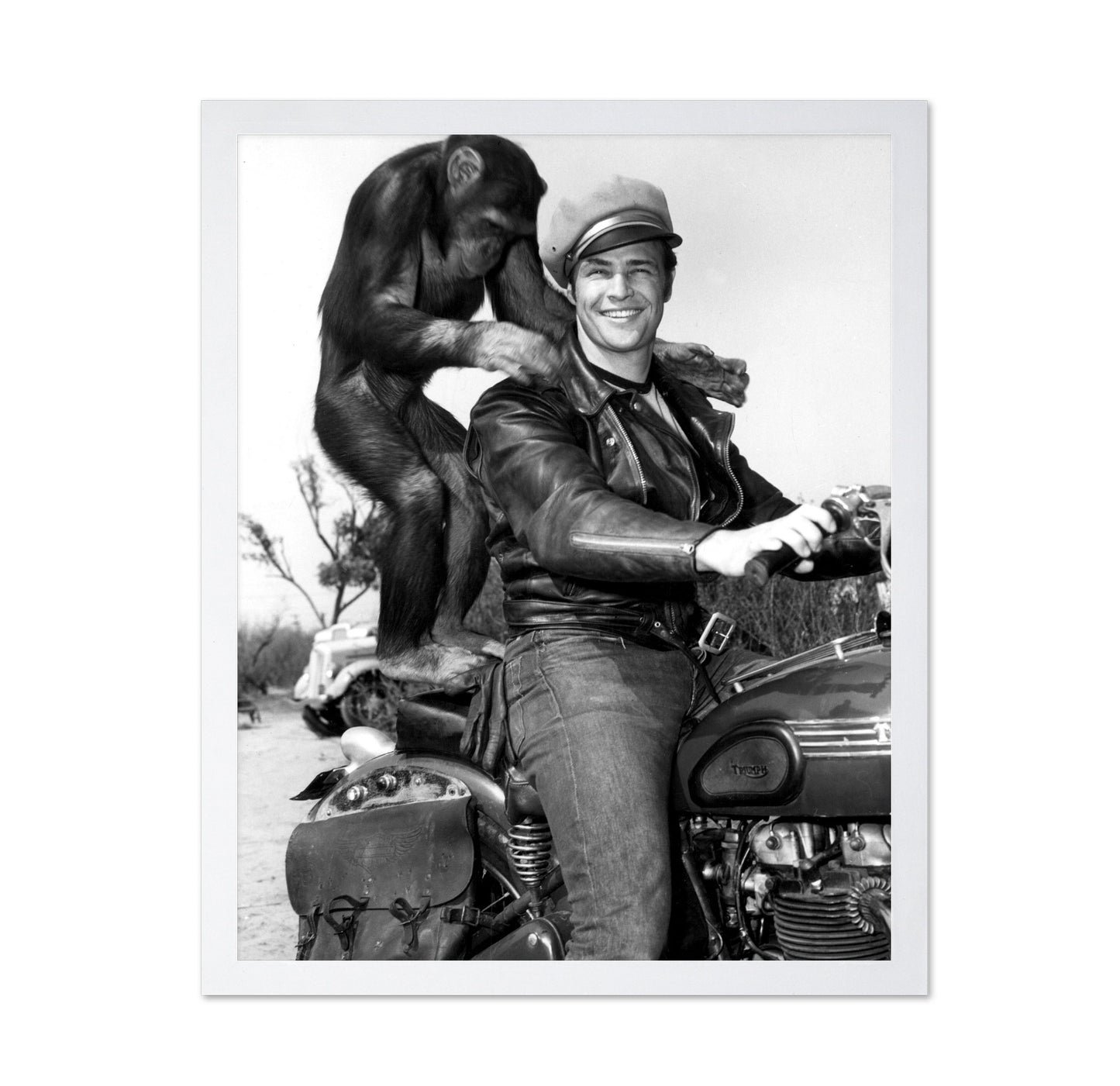 The Wild One 1953 Marlon Brando No3