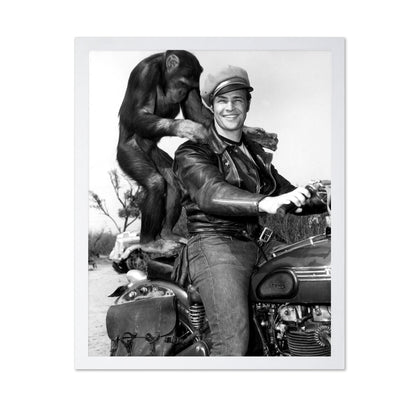 The Wild One 1953 Marlon Brando No3