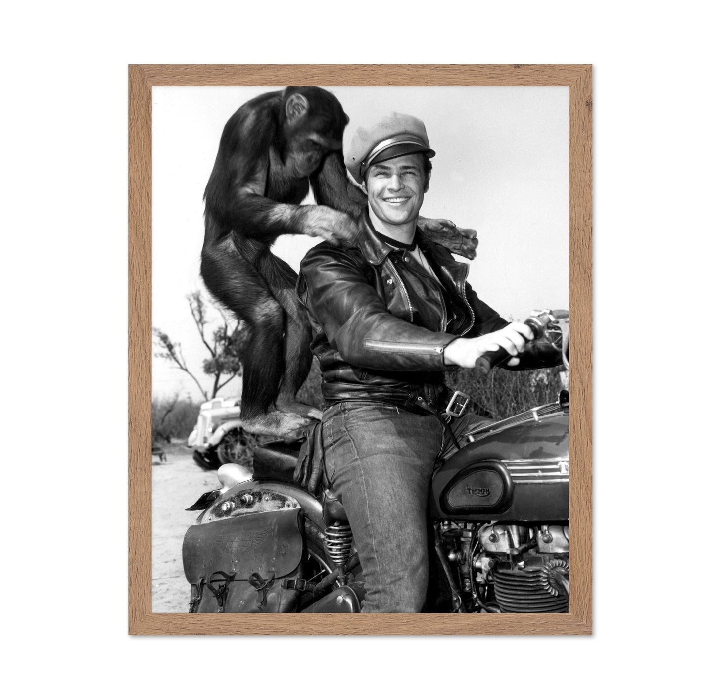 The Wild One 1953 Marlon Brando No3