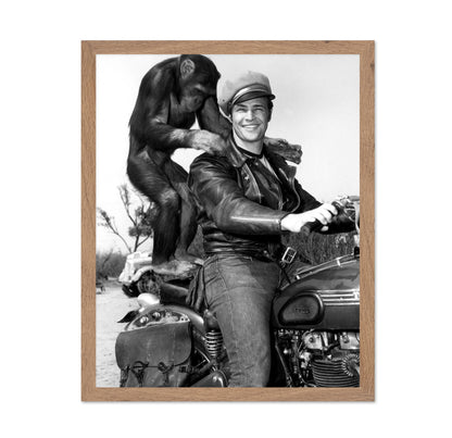 The Wild One 1953 Marlon Brando No3