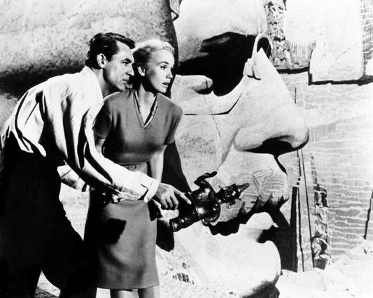 North By Northwest 1959 Cary Grant No17