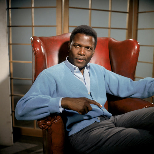 A Patch of Blue 1965 Sidney Poitier No1