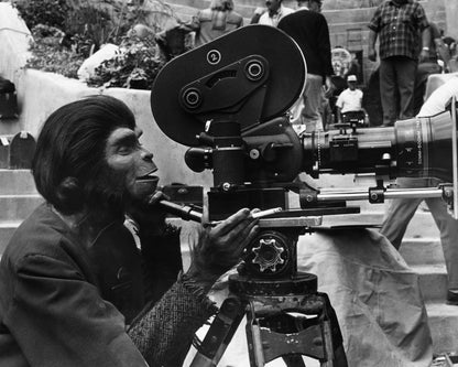 Beneath The Planet of The Apes 1970 Kim Hunter