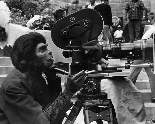 Beneath The Planet of The Apes 1970 Kim Hunter