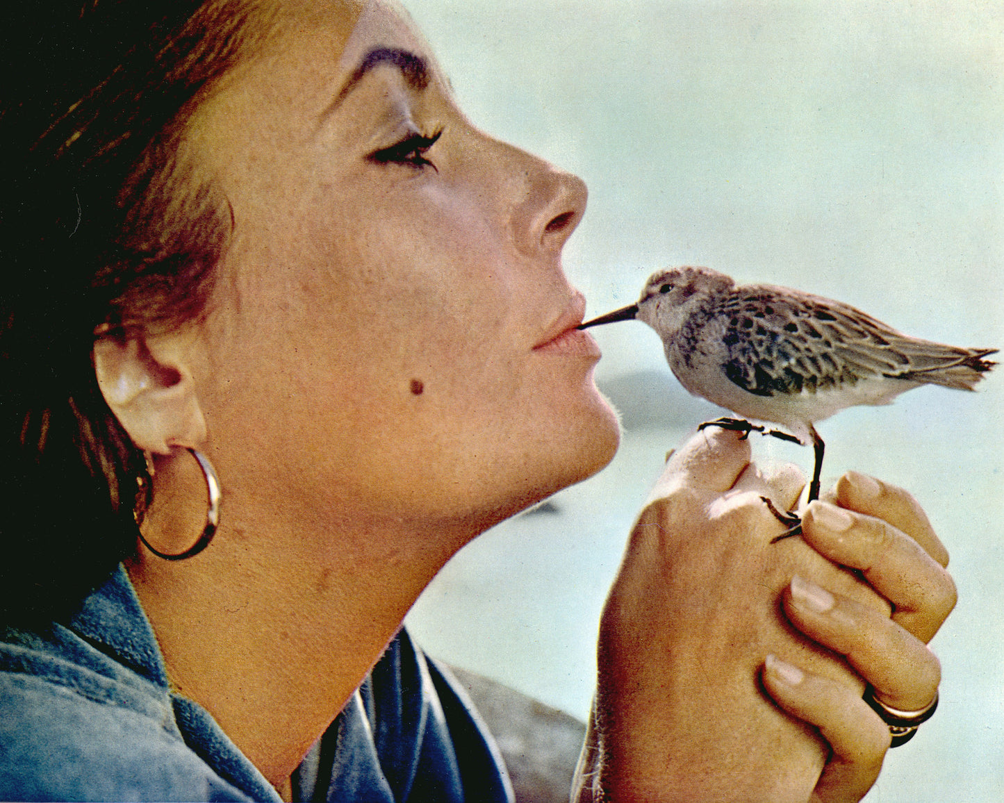 The Sandpiper 1965 Elizabeth Taylor No2