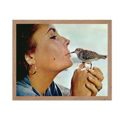 The Sandpiper 1965 Elizabeth Taylor No2