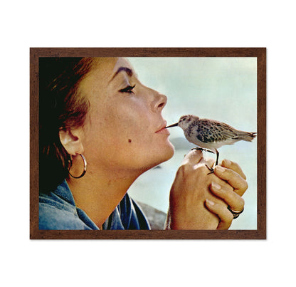 The Sandpiper 1965 Elizabeth Taylor No2