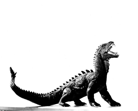 The Beast From 20,000 Fathoms 1953