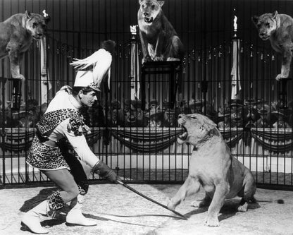 Billy Rose's Jumbo 1962 Stephen Boyd