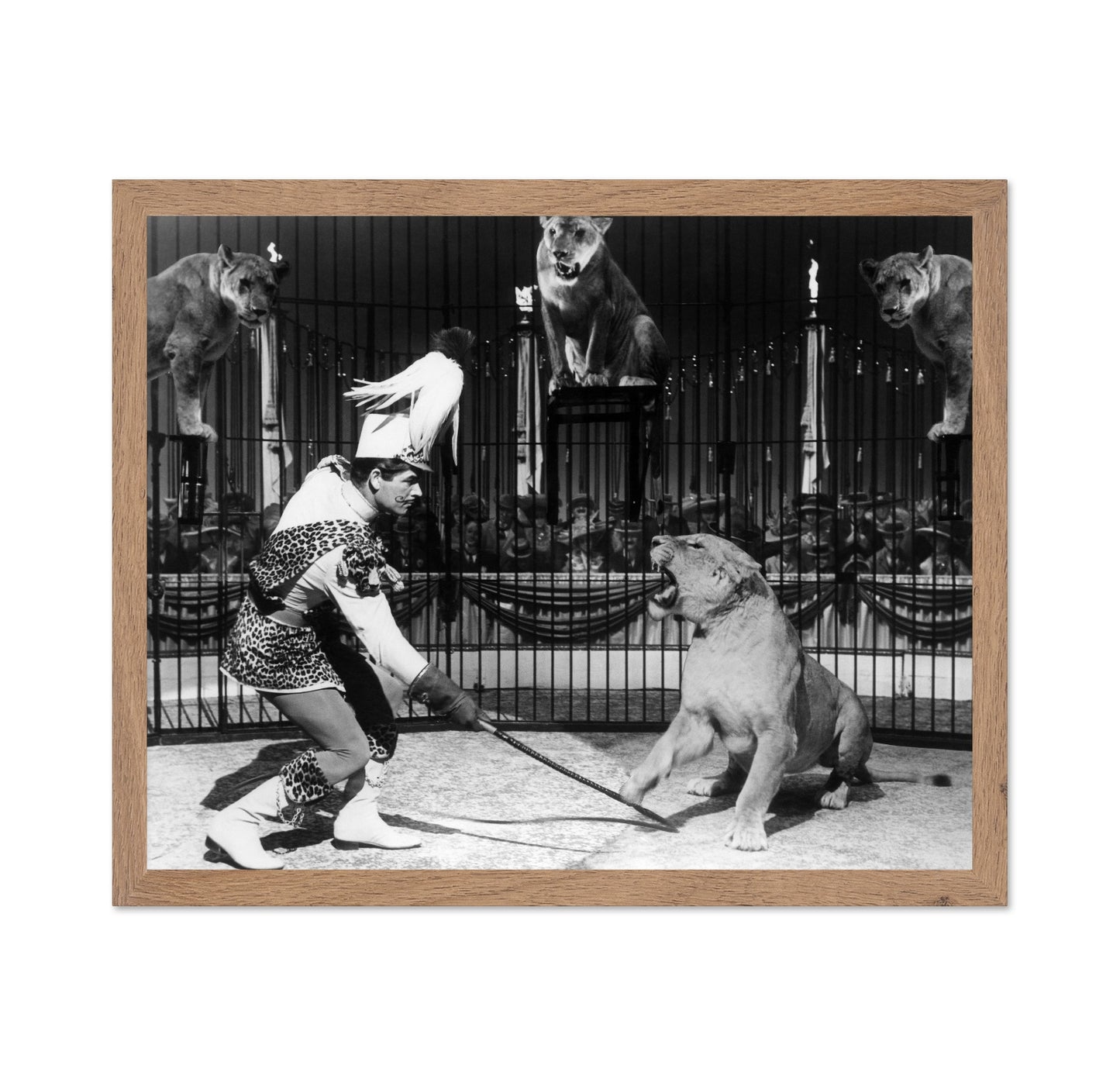 Billy Rose's Jumbo 1962 Stephen Boyd
