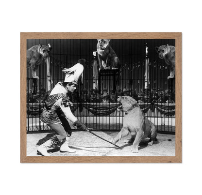 Billy Rose's Jumbo 1962 Stephen Boyd