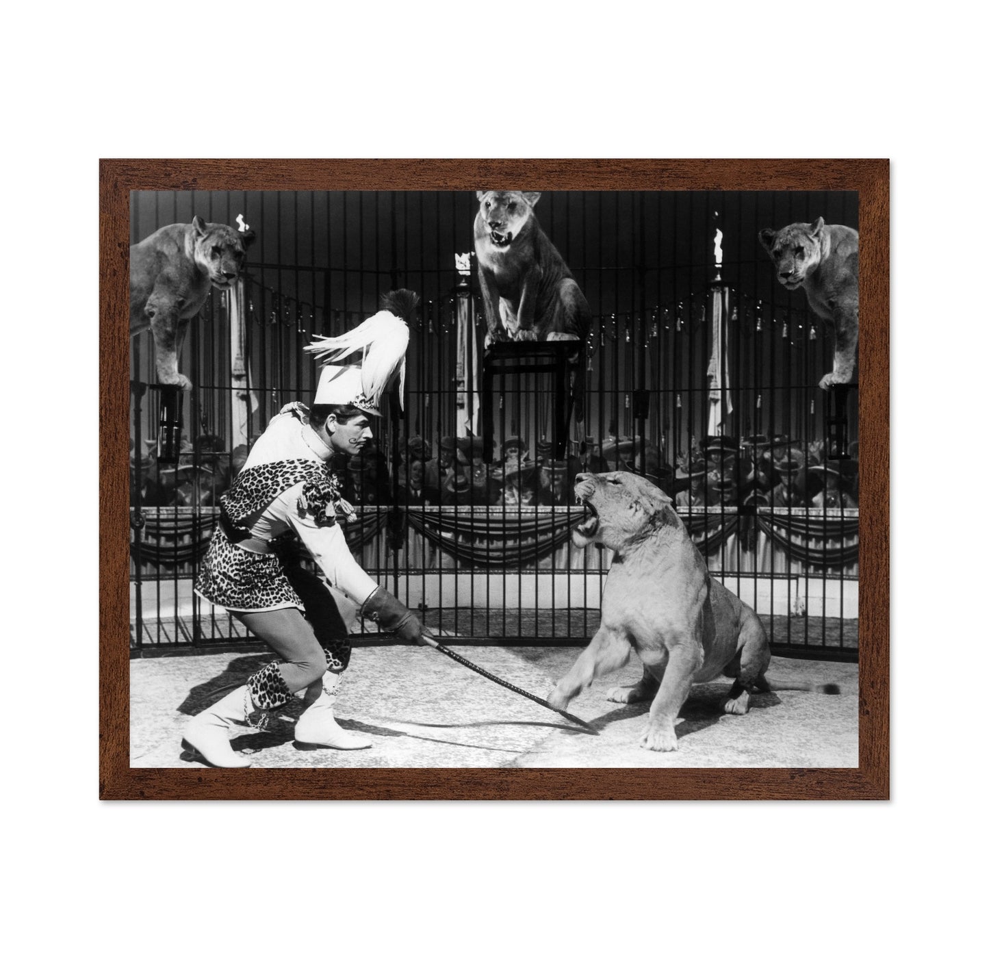 Billy Rose's Jumbo 1962 Stephen Boyd