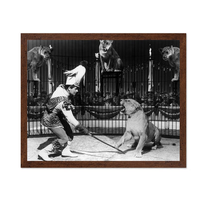 Billy Rose's Jumbo 1962 Stephen Boyd