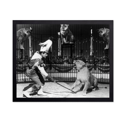 Billy Rose's Jumbo 1962 Stephen Boyd