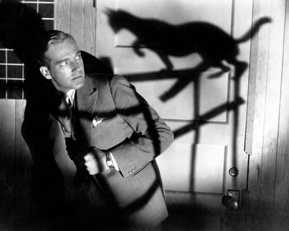 The Black Cat 1934 David Manners