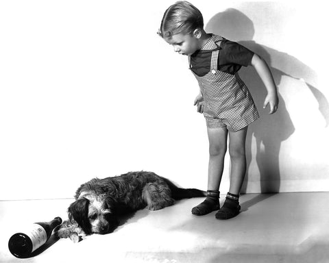 Blondie On A Budget 1940 Larry Simms