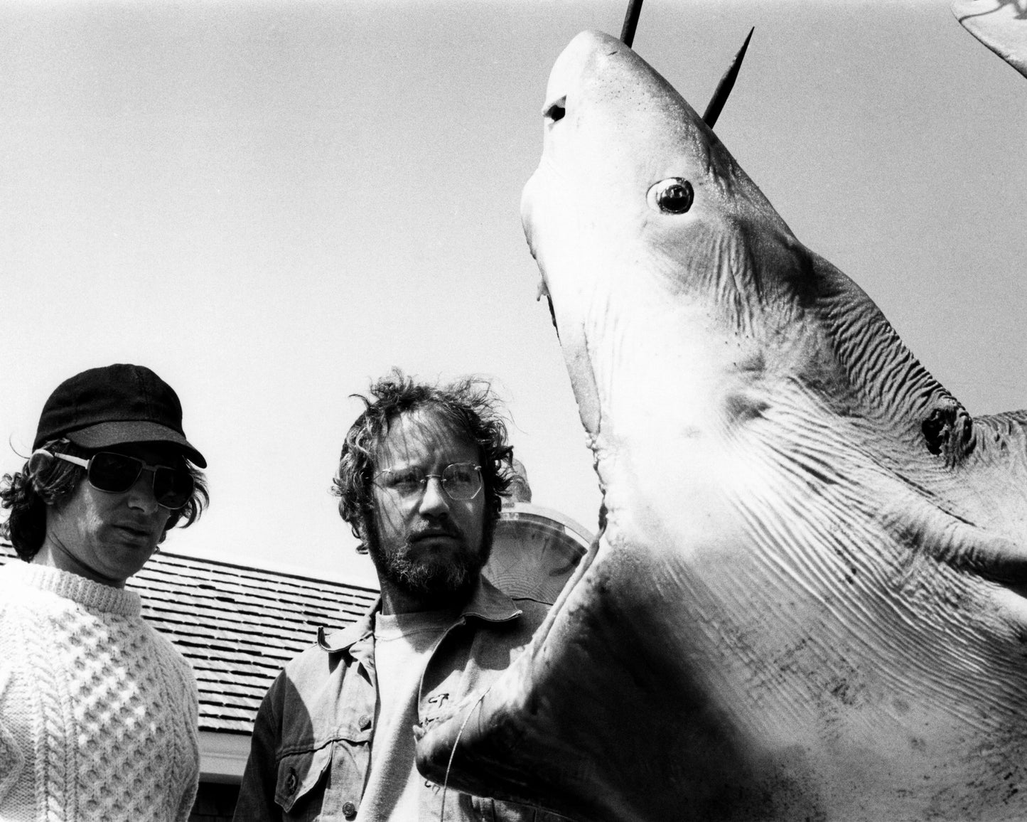 Jaws 1975 Steven Spielberg No3