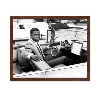 The Slender Thread 1965 Sidney Poitier No2