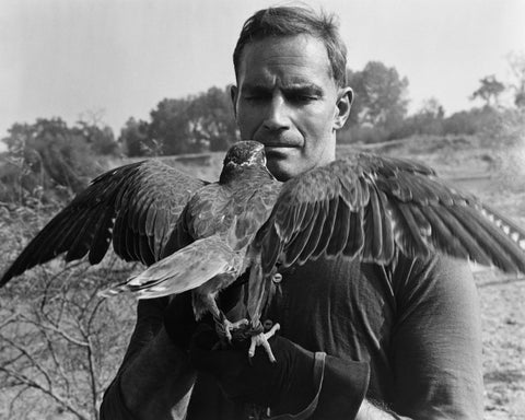 The War Lord 1965 Charlton Heston No1