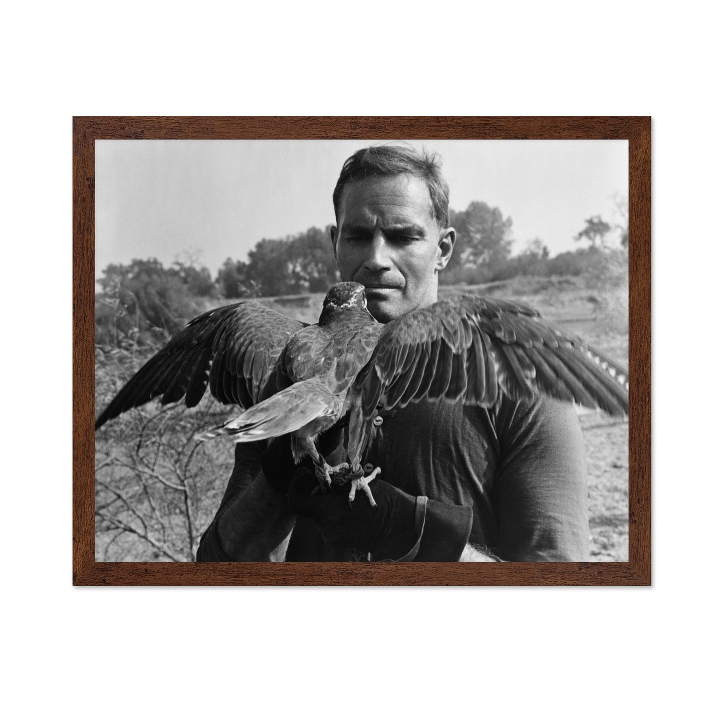 The War Lord 1965 Charlton Heston No1