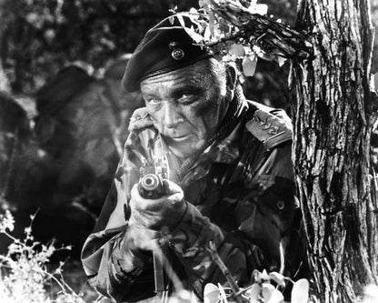 The Wild Geese 1978 Richard Burton