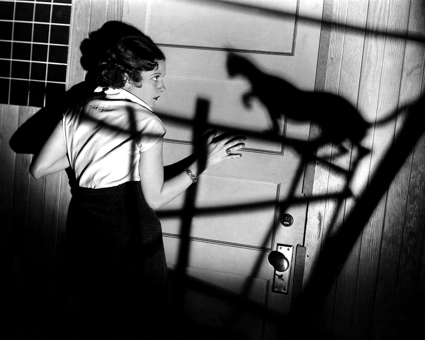 The Black Cat 1934 Jacqueline Wells