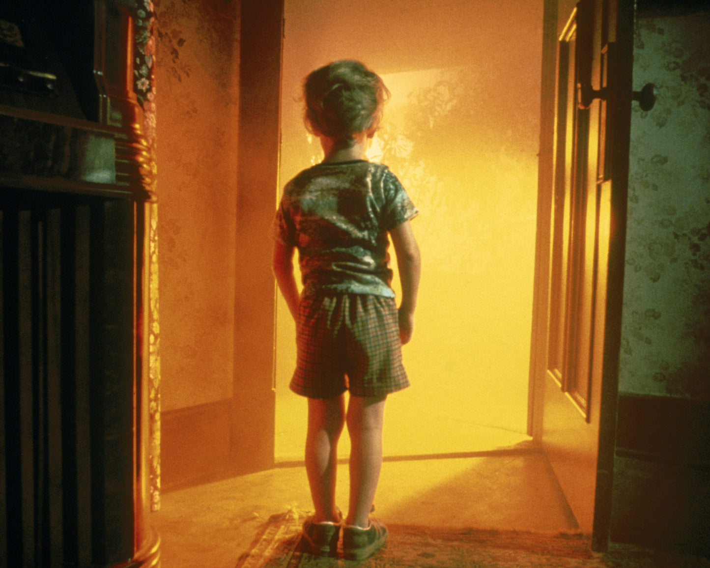 Close Encounters of The Third Kind 1977 Cary Guffey