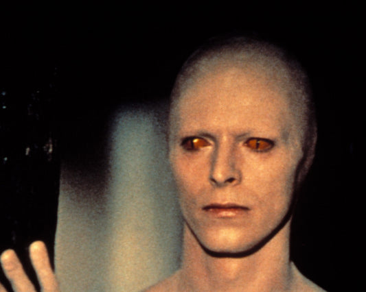 The Man Who Fell To Earth 1976 David Bowie No3